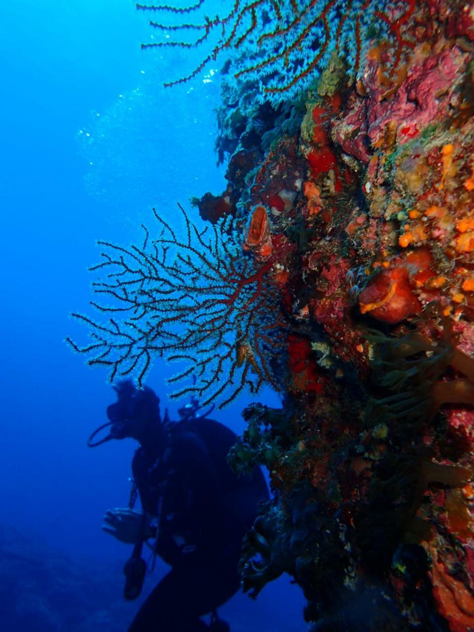 Qing Feng Diving B&B 緑島郷 エクステリア 写真