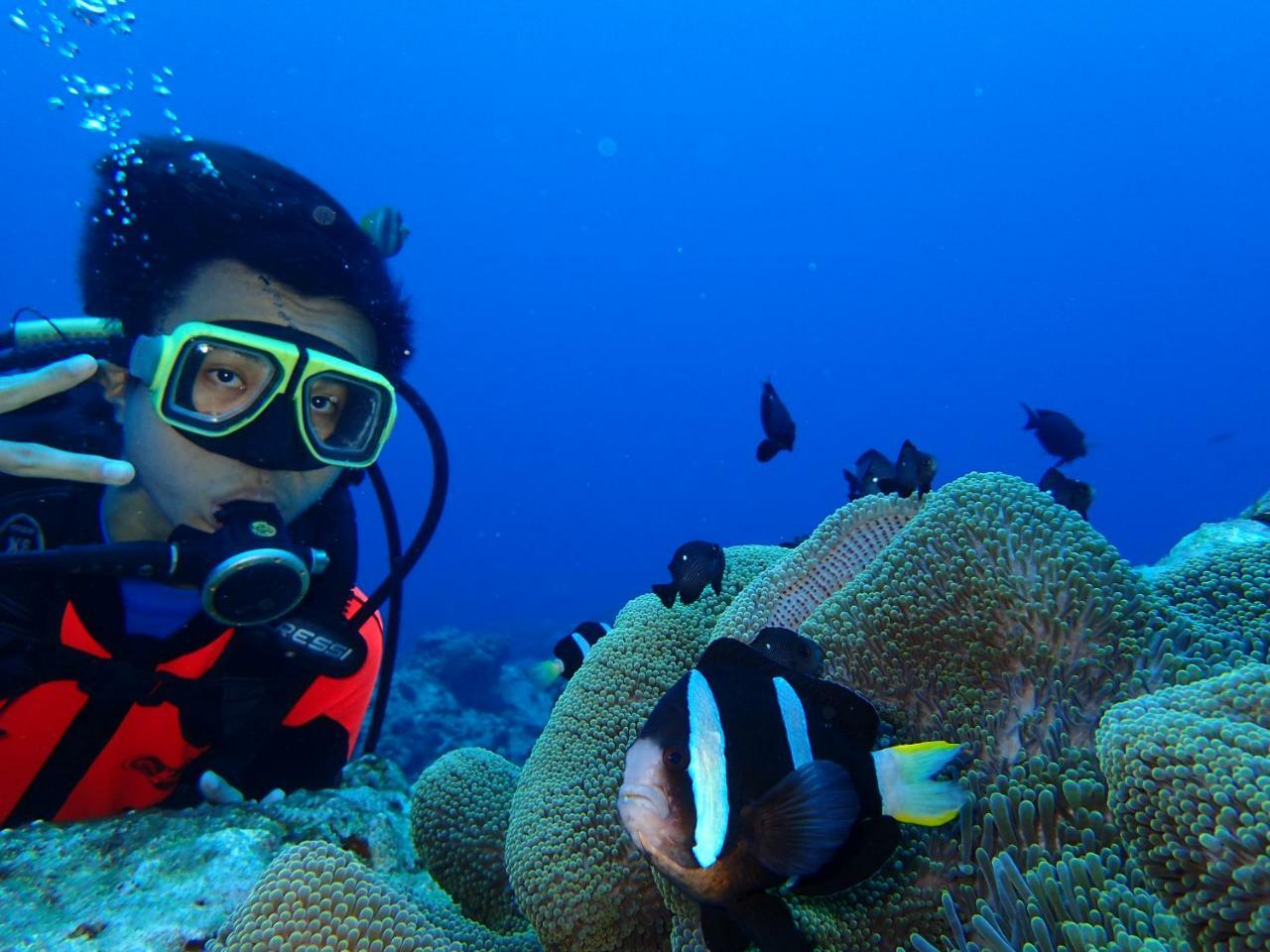 Qing Feng Diving B&B 緑島郷 エクステリア 写真