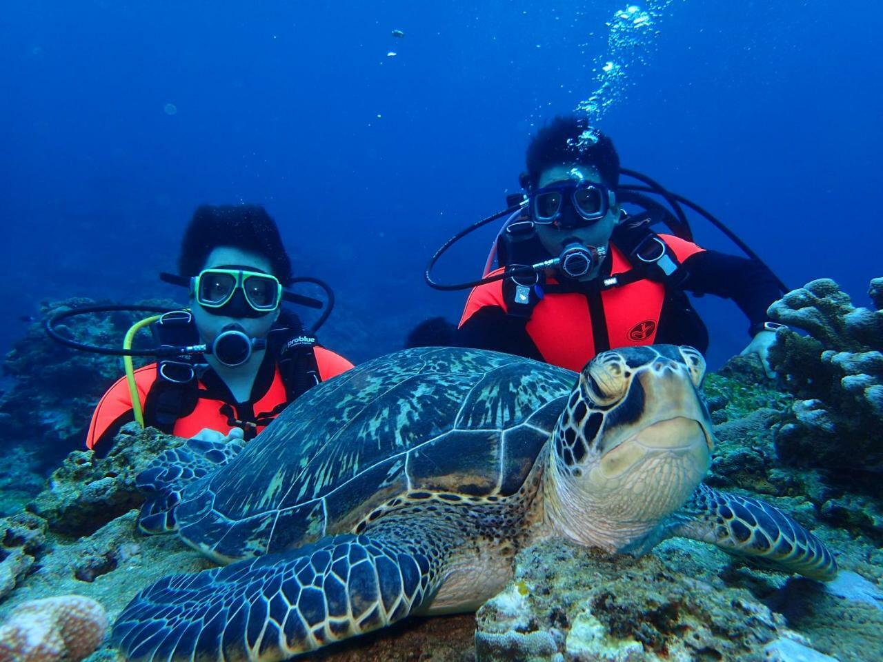 Qing Feng Diving B&B 緑島郷 エクステリア 写真